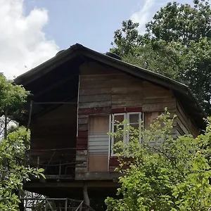 https://sigiri-forest-view.kandyhotelsnow.com