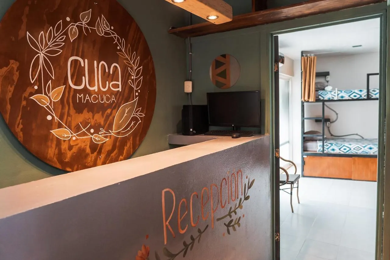 Hostel Hostal Cuca Macuca Puerto Morelos