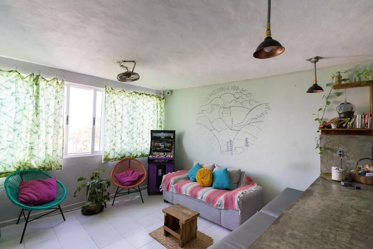Hostal Cuca Macuca Puerto Morelos Hostel