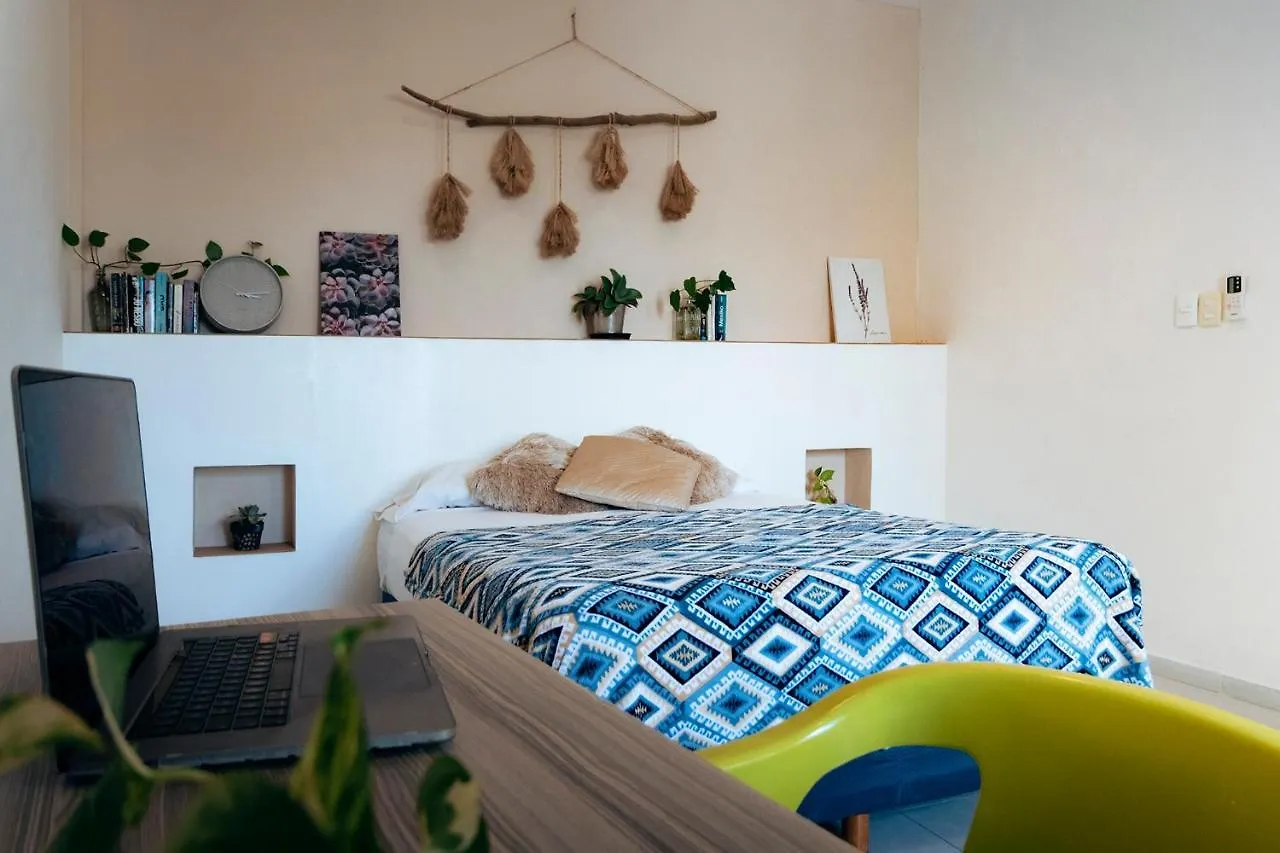 Hostel Hostal Cuca Macuca Puerto Morelos